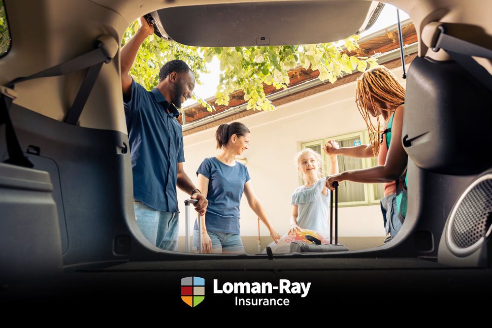 loman ray blog 3