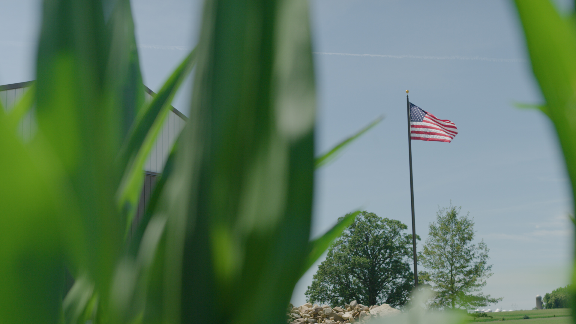 Loman Ray_Farmer_s Association_Thumbnail 1